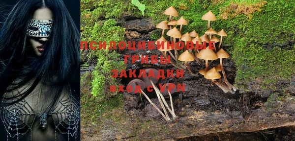 кокс Армянск