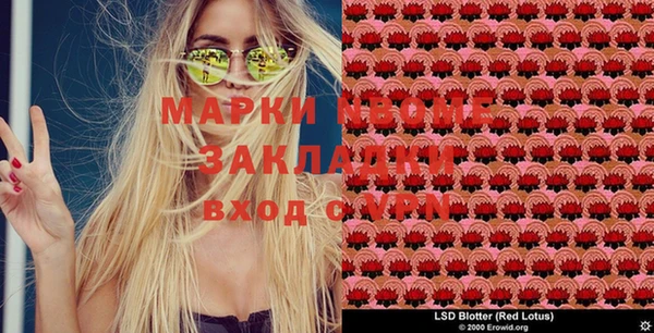крисы Майский