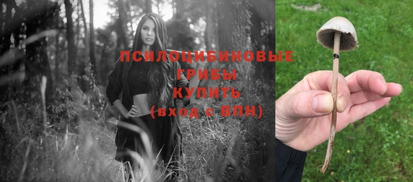 герыч Магас