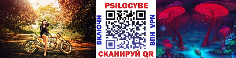Псилоцибиновые грибы GOLDEN TEACHER Тотьма
